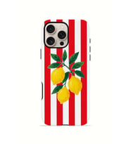 iPhone 16 Pro Max Vorian Çift Katmanlı Kılıf Lemon Parade Red