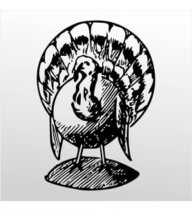 Folyo Sticker Hindi 80cm Uzunluk (Karışık)