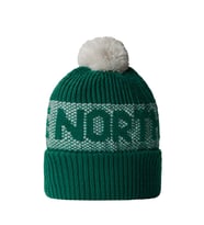 The North Face  Retro Cabın Bere Nf0A88Qw84O1 (Yeşil)