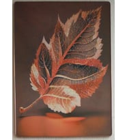 GÖNÜL COLLECTİON DEKORATİF TAŞLI TABLO TABLO