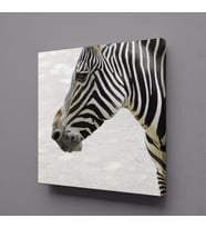 ZEBRA KAFASI KANVAS TABLO 120x120cm (Karışık)