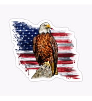 Araba için Kartal Sticker Yapıştırması Etiket Amerikan Bayrağı 17CM