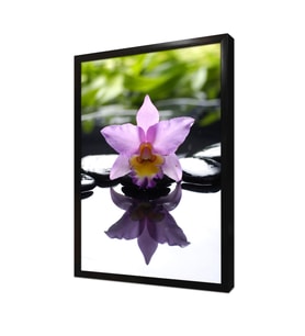 Spa Taşları ve Orkide Çerçeveli Mdf Tablo