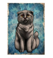 Boz Kedi Tasarım Ahşap Tablo 35cm X50cm