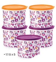 TUPPERWARE RENKLİ BUZDOLABI TAŞIMA VE SAKLAMA KABI 1.1 LT 5Lİ SET