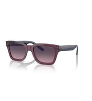Arnette  0AN4334 1244H953 Erkek Güneş Gözlüğü