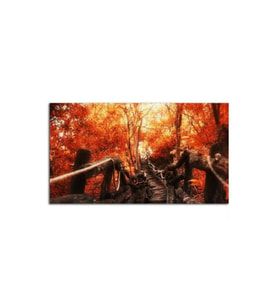 Orman Merdivenleri Tablo - 105803 - 60x80 Cm