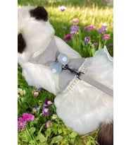 Caş Dekorasyon Karışık Renk Kurdele Figürlü İnci Ve Tül Detaylı Bel Göğüs Ayarlanabilir Kedi/Köpek Tasma (Çok Renkli)