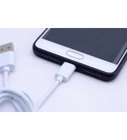 Lexroo Gold Type-C Usb Kablo Z-04