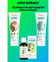 Tüy Bakım & Hareket Desteği Seti (B Complex Drop, Anti-Hair Loss & Glukozamin Macun)