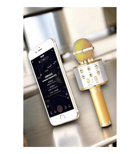 Mey İthalat® Şarjlı ve Uzun Pil Ömürlü Karaoke Mikrofon USB Bellek Destekli, Profesyonel Ses