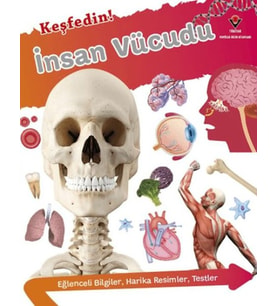 Keşfedin! İnsan Vücüdu