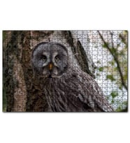 Cakapuzzle Karlı Ormanda Ağacın Önündeki Baykuş  Puzzle Yapboz MDF (Ahşap) (120 Parça)