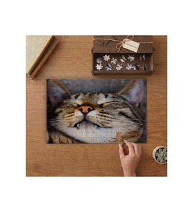 Uyuyan Sevimli Kedi Tasarımı 240 parça Ahşap Puzzle Ahşap Kutuda MP05550