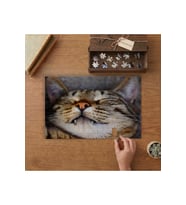 Uyuyan Sevimli Kedi Tasarımı 240 parça Ahşap Puzzle Ahşap Kutuda MP05550