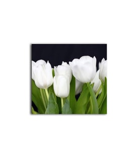 DBSanatevi Beyaz Lale Tablo 35 X 35 Cm