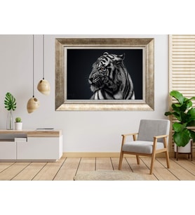 Gümüş Çerçeveli Tablo nb552
