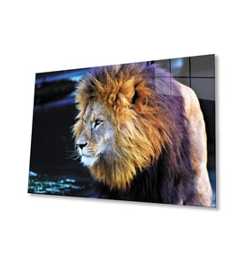 Aslan 2 Cam Tablo