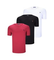 ÜÇLÜ SET T8568 DEWBERRY V YAKA ERKEK T-SHIRT-KOYU SİYAH-KAR BEYAZ-AÇIK BORDO (Karışık)