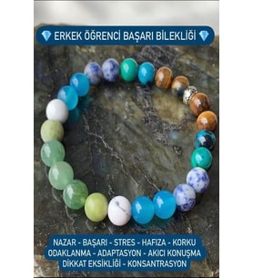Doğal Taş Erkek Öğrenci Başarı Bilekliği  ( Kaplangözü, Turkuaz, Akik, Sodalit, Yeşim ve Aventurin )