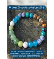 Doğal Taş Erkek Öğrenci Başarı Bilekliği  ( Kaplangözü, Turkuaz, Akik, Sodalit, Yeşim ve Aventurin )