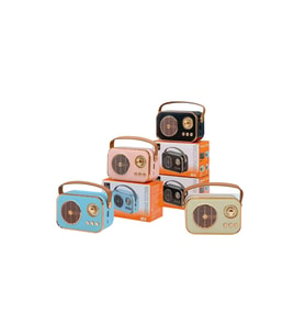 PL-4641 Bluetooth, SD, USB Girişli Bluetooth Destekli Type-C Speaker