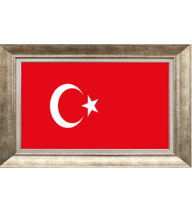 GÜMÜŞ ÇERÇEVELİ TABLO N490