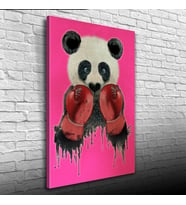 Pembe Arka Plan Boksör Panda Kanvas Tablo 50 x 70