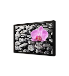 Spa Taşları ve Orkide Çerçeveli Mdf Tablo