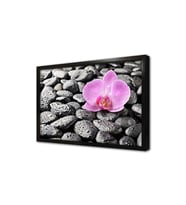 Spa Taşları ve Orkide Çerçeveli Mdf Tablo