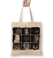 Cats Collection one Bez Çanta Uzun Saplı