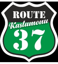37 Kastamonu Sticker 10x10 cmRenkli Sticker
