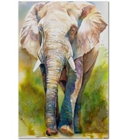 Ahşap Tablo Kahverengi Fil Suluboya Çizim (35x50 Cm Boyut)