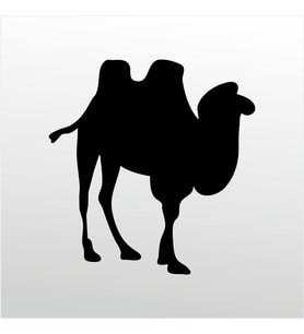 Folyo Sticker Deve 200cm Uzunluk (Karışık)