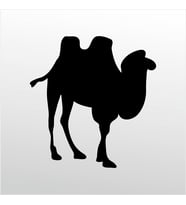 Folyo Sticker Deve 200cm Uzunluk (Karışık)