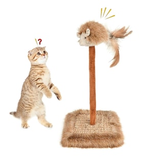 Sesli Oyuncaklı Kedi Tırmalama Tahtası