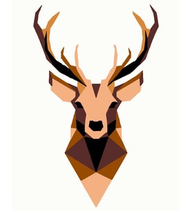 Geyik Minimalist Sayılarla Boyama Seti 30x40 cm (Tuvale Gerili)