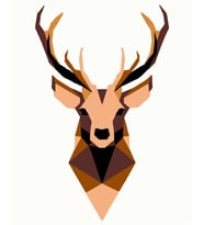 Geyik Minimalist Sayılarla Boyama Seti 30x40 cm (Tuvale Gerili)