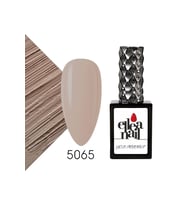 Profesyonel Kalıcı Oje 15 ml 5065