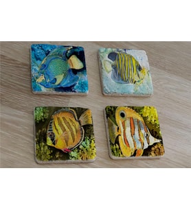 Renkli Balıklar Doğal Taş Bardak Altlığı 4'lü set - Natural Stone Coasters