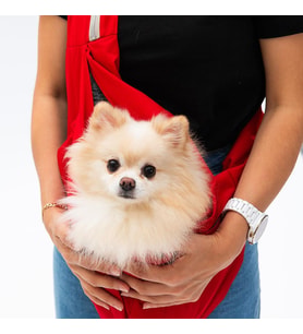 Pawstar Kırmızı Crossbody Küçük Irk Köpek Çapraz Taşıma Çantası
