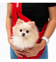Pawstar Kırmızı Crossbody Küçük Irk Köpek Çapraz Taşıma Çantası