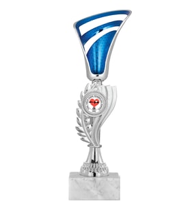 ODAK KUPA - Genel Kupalar - GN-038 C - 25 cm