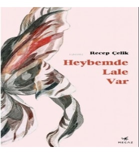 Heybemde Var