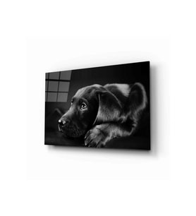 Miyrem Glasses Collection -A1^#  Köpek 8 Hayvan Cam Tablo (Çok Renkli)
