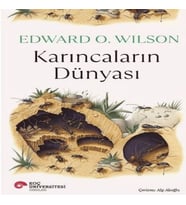 Karıncaların Dünyası