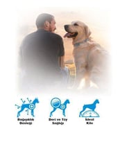 BonaCibo Adult Dog Tavuklu Balıklı Köpek Maması 4 KG
