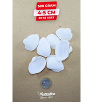Doğal Deniz Kabuğu 500 Gram Büyük Boy 4-5 cm (Beyaz)