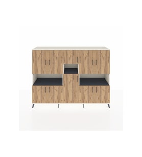 Hyperion Dolap 14 Raflı 10 Kapaklı 220x44x163 Aytaşı-Çam/Antrasit