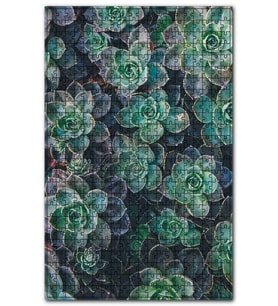 Cakapuzzle Sukulent Bitkileri Üstten Görünüm Puzzle Yapboz MDF (Ahşap) (120 Parça)
